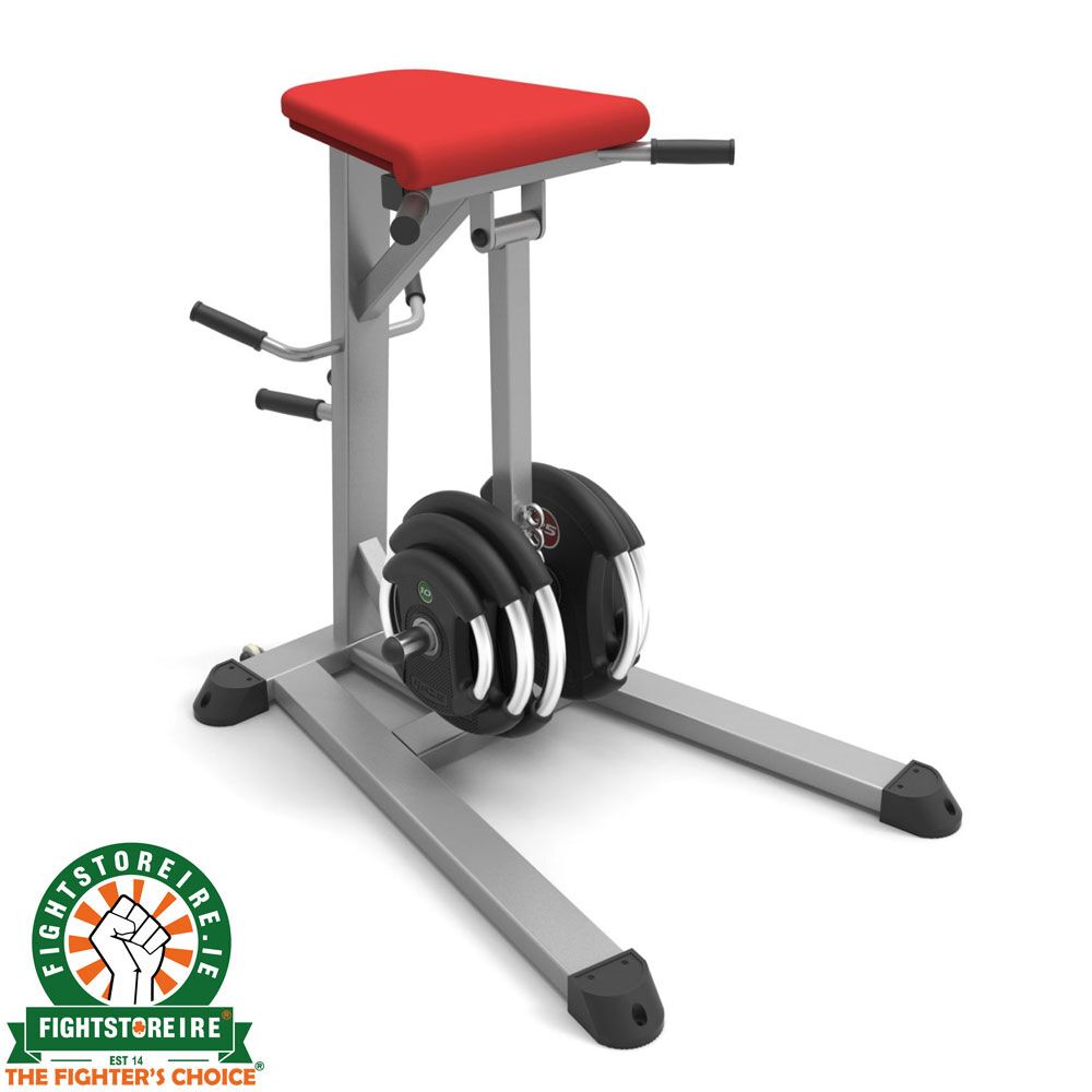 Reverse Hyper Bench