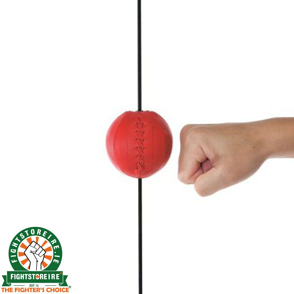 Winning SB-9000 Punching Ball